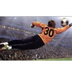 LG 49VL5G-M pantalla mural de vídeo Interior