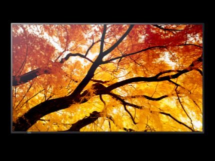 Sharp MultiSync M322 Pantalla plana para señalización digital 81,3 cm (32") LCD 550 cd / m² Full HD Negro